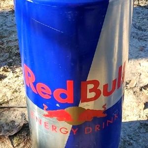RedBull Can Cooler